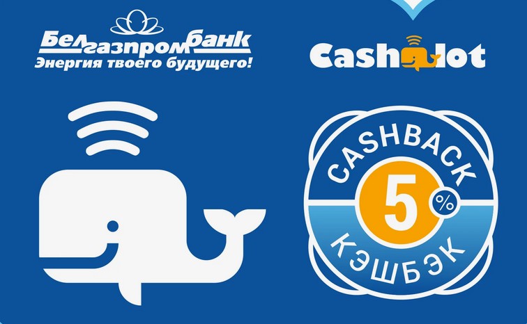 Карта Кашалот окна ПВХ и балконные рамы по цене в рассрочку Могилёв